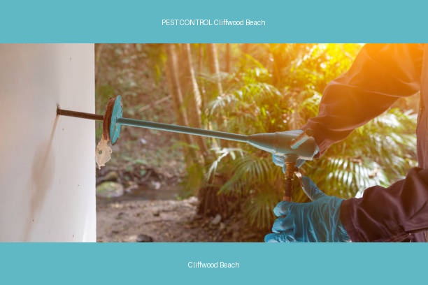 PEST CONTROL Cliffwood Beach